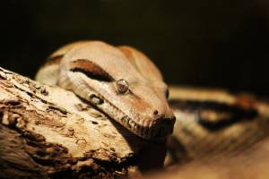 Marie-Emmanuelle DIOT LAPORTE - Memograph